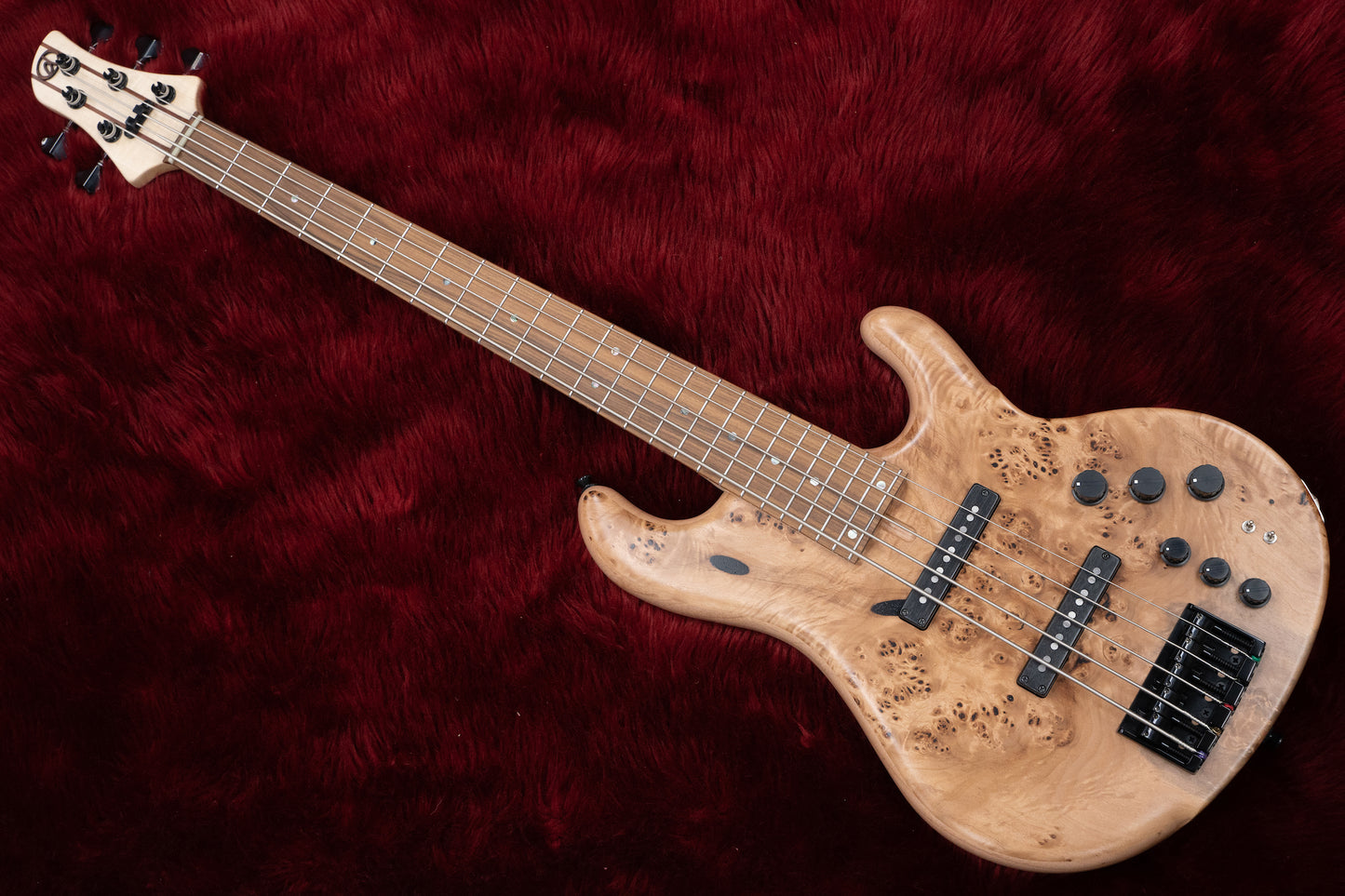 [new] dragonfly / CS5 / 345 CUSTOM GIB custom Neck #23018SE 3.86kg [Yokohama-store]
