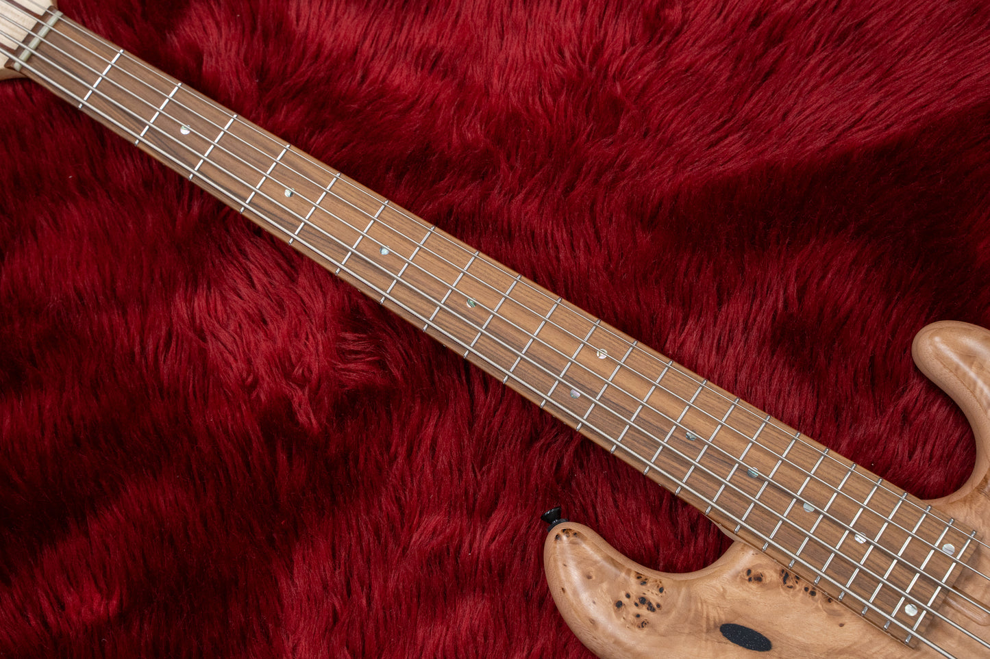[new] dragonfly / CS5 / 345 CUSTOM GIB custom Neck #23018SE 3.86kg [Yokohama-store]