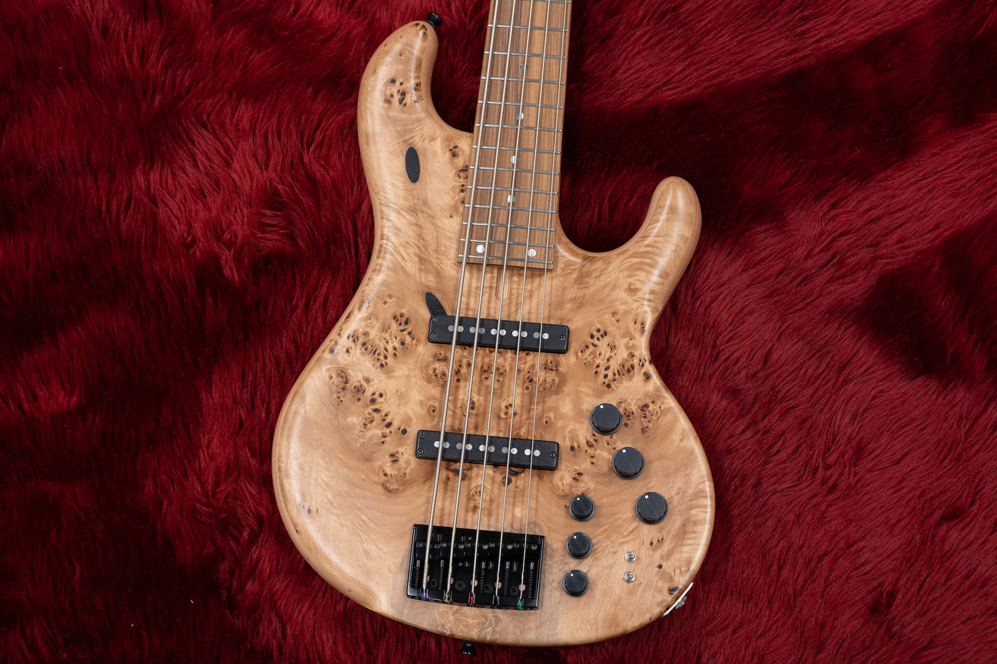 [new] dragonfly / CS5 / 345 CUSTOM GIB custom Neck #23018SE 3.86kg [Yokohama-store]