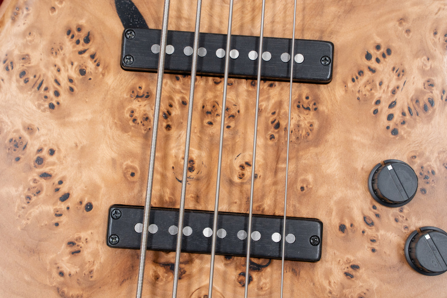 [new] dragonfly / CS5 / 345 CUSTOM GIB custom Neck #23018SE 3.86kg [Yokohama-store]