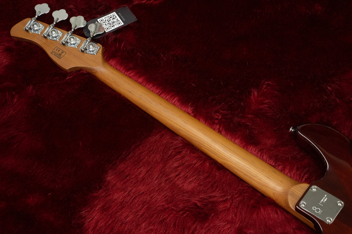[new] Sire / P5 Alder 4st #2N22590025 3.76kg [yokohama store]