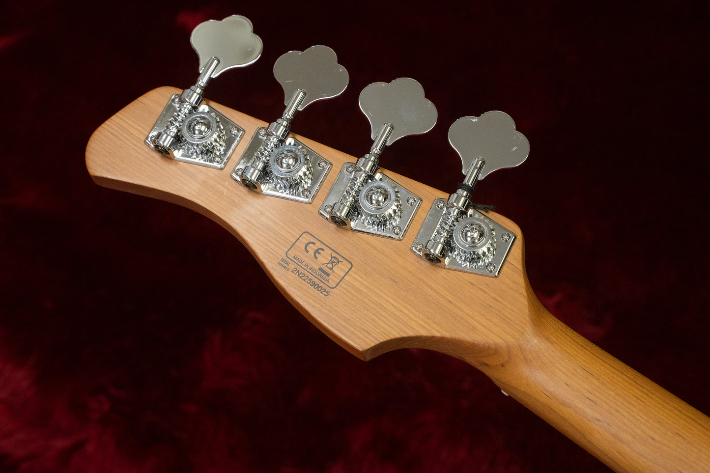 [new] Sire / P5 Alder 4st #2N22590025 3.76kg [yokohama store]