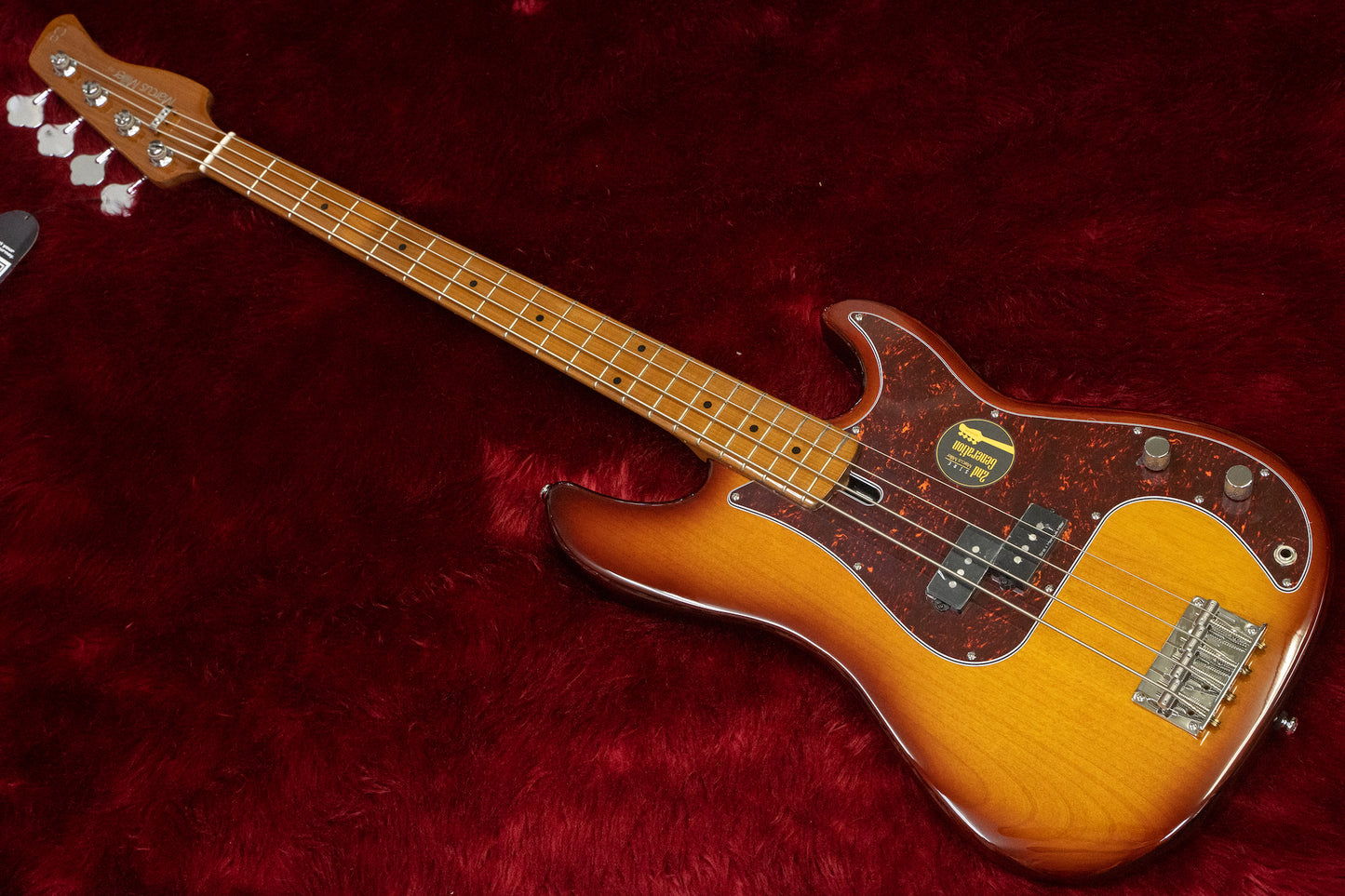 [new] Sire / P5 Alder 4st #2N22590025 3.76kg [yokohama store]