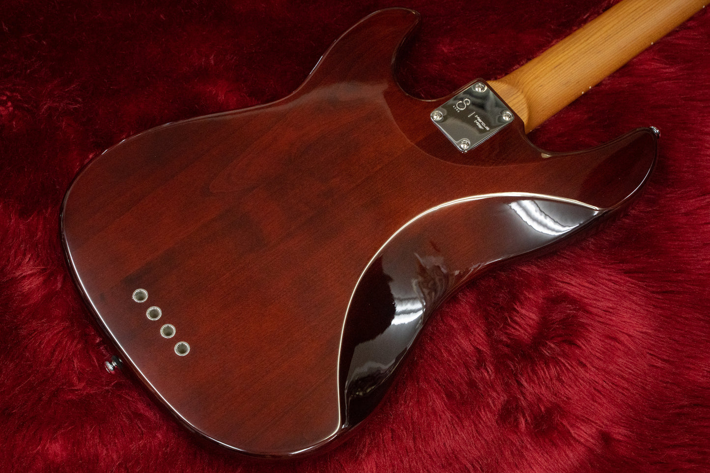 [new] Sire / P5 Alder 4st #2N22590025 3.76kg [yokohama store]