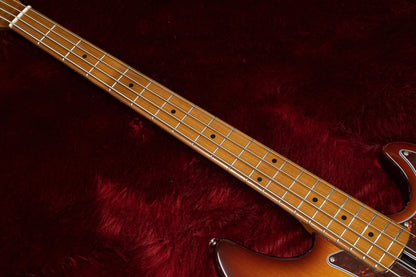 [new] Sire / P5 Alder 4st #2N22590025 3.76kg [yokohama store]