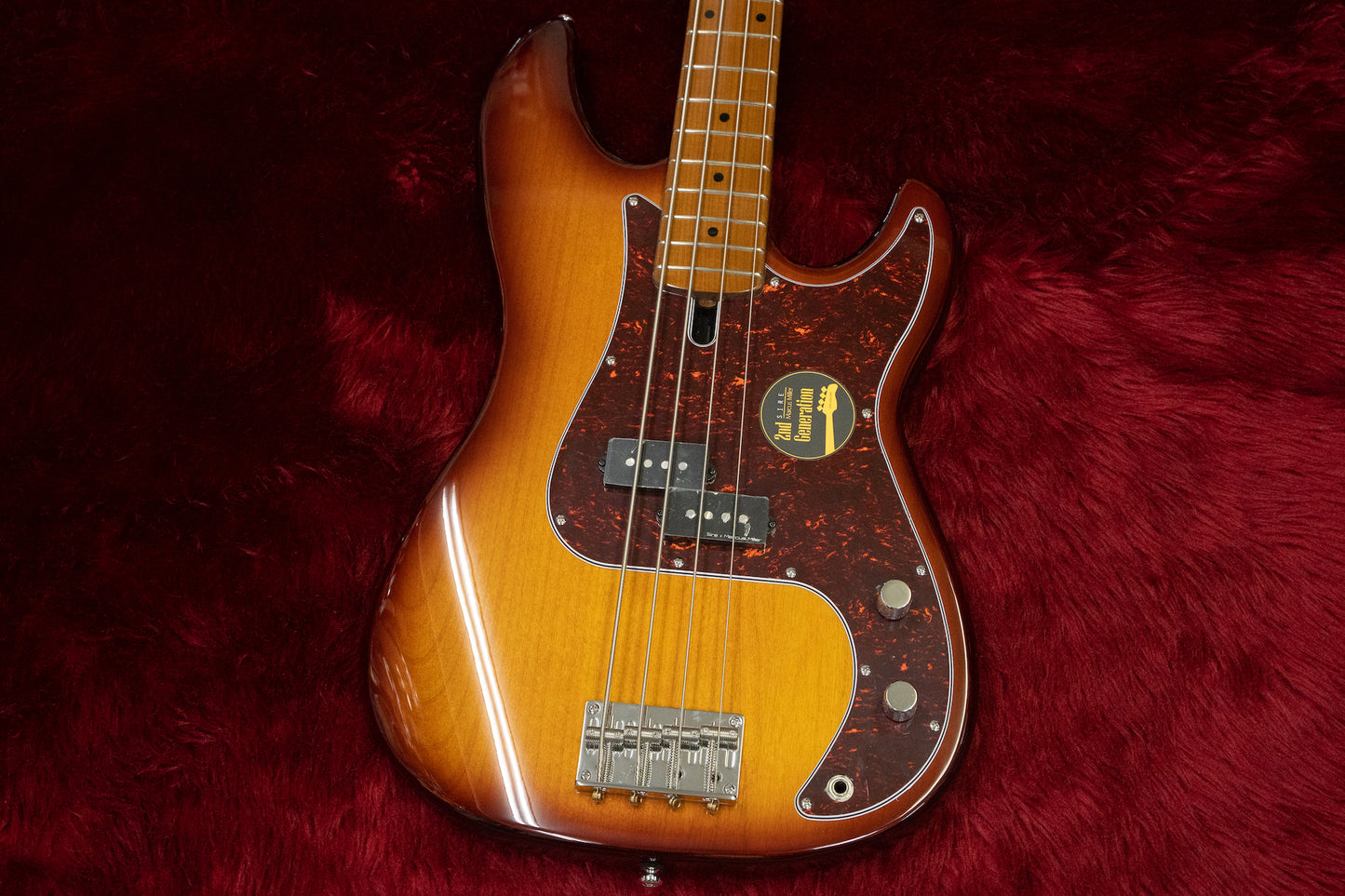 [new] Sire / P5 Alder 4st #2N22590025 3.76kg [yokohama store]