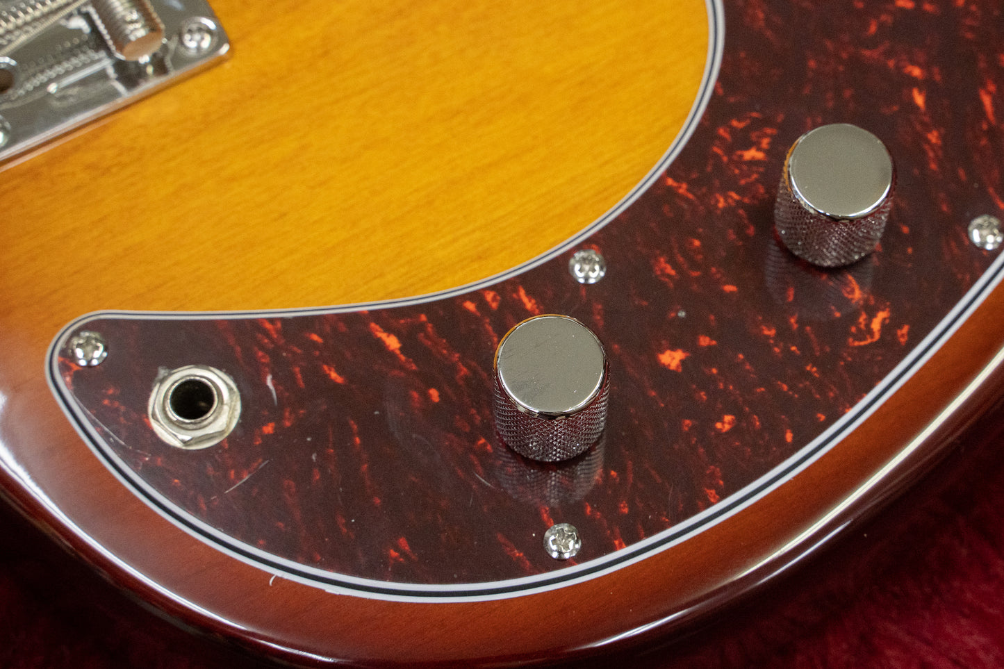 [new] Sire / P5 Alder 4st #2N22590025 3.76kg [yokohama store]