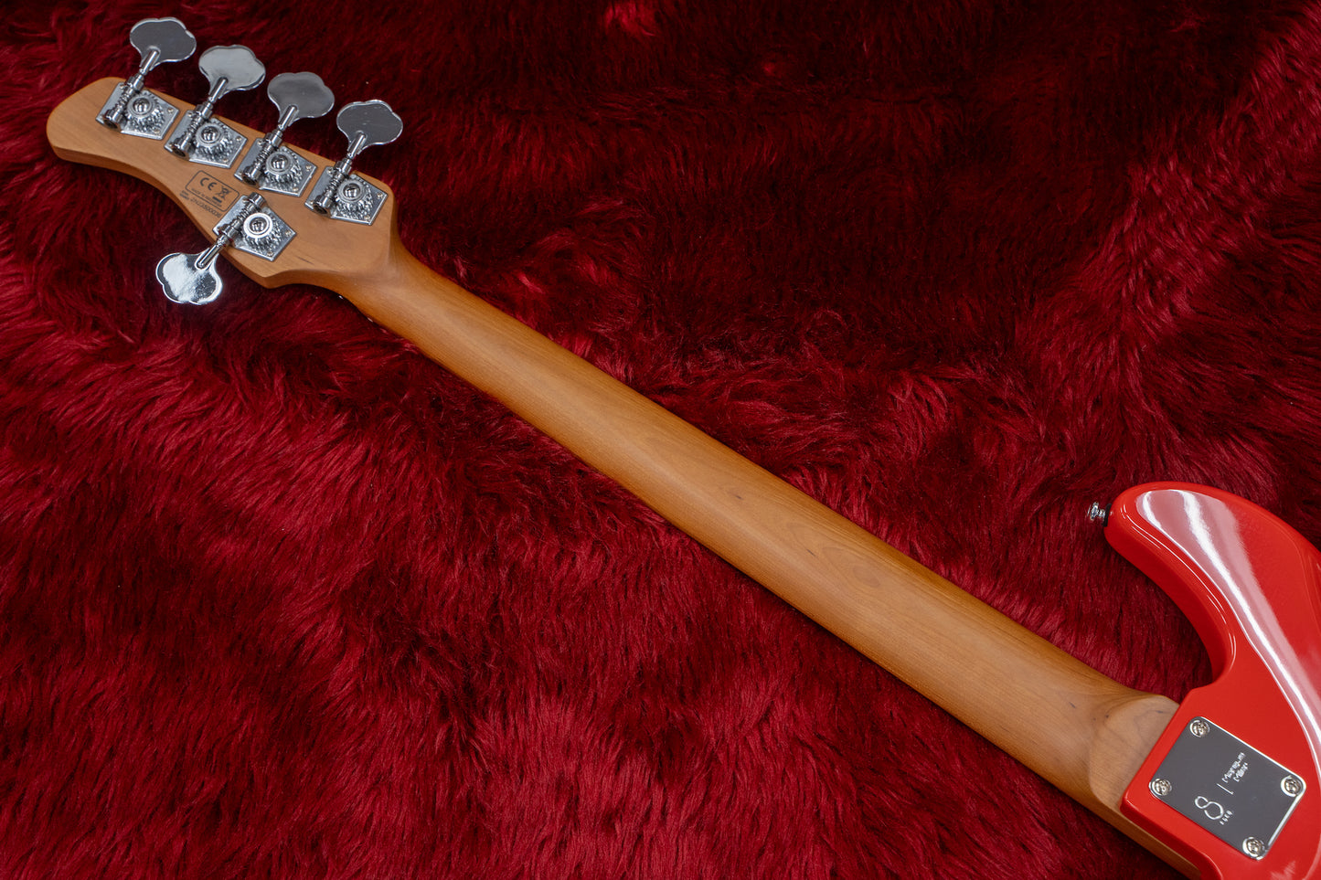 [new] sire / p5 alder-5 drd #2N23500036 4.31kg [Yokohama-store]