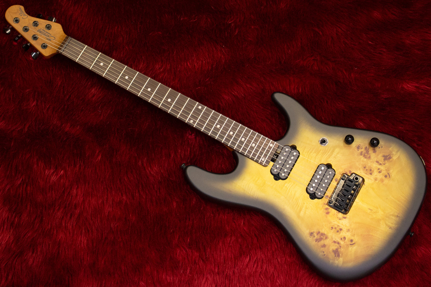 [new] Sterling by Musicman / Richardson 6 NPBB #SG46263 3.52kg [yokohama store]
