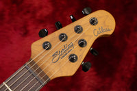 [new] Sterling by Musicman / Richardson 6 NPBB #SG46263 3.52kg [yokohama store]