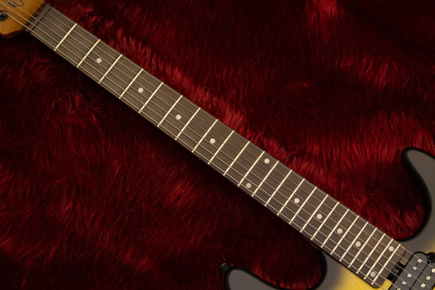[new] Sterling by Musicman / Richardson 6 NPBB #SG46263 3.52kg [yokohama store]
