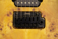 [new] Sterling by Musicman / Richardson 6 NPBB #SG46263 3.52kg [yokohama store]