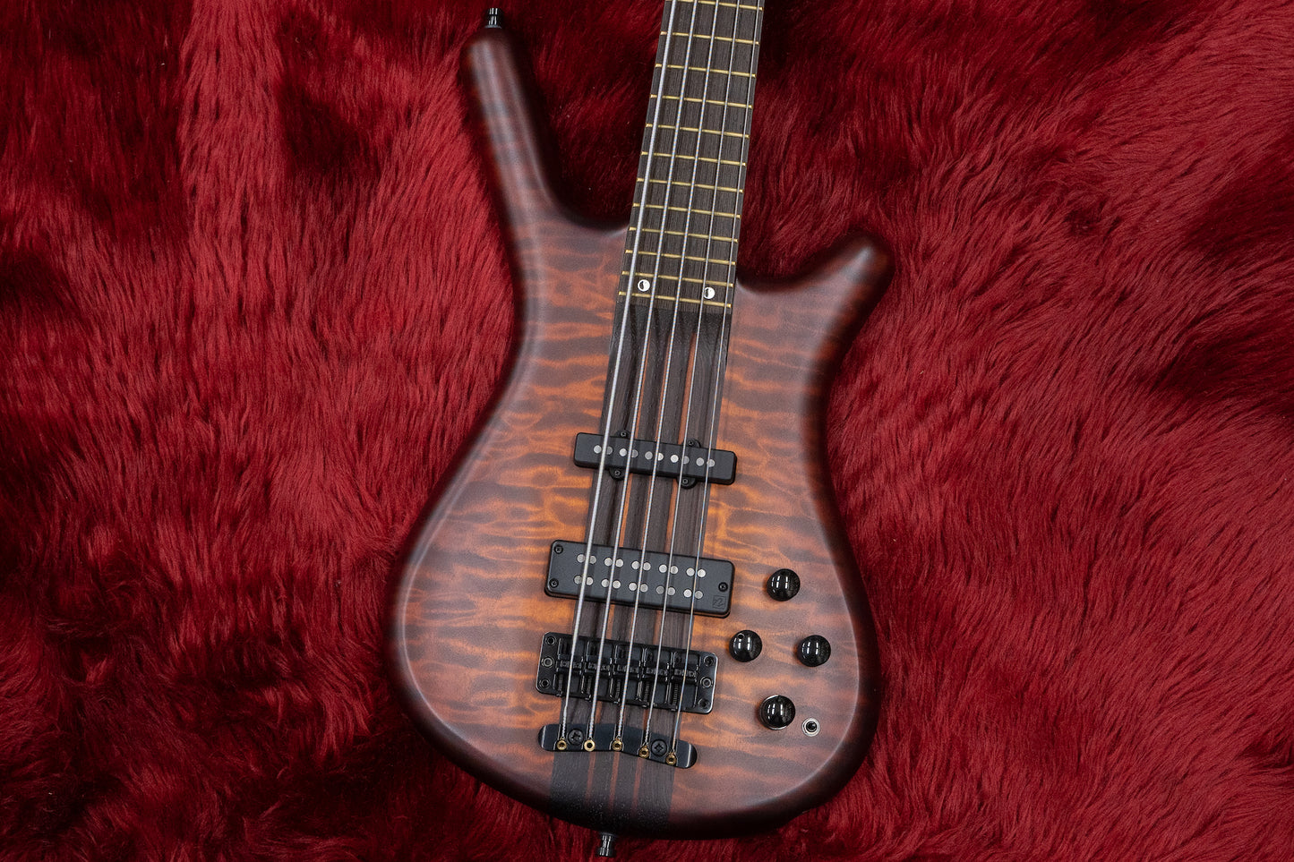 [new] Warwick / CS Master Build Streamette 5 LTD2022 #J163905-22 4.64kg [Yokohama-store]