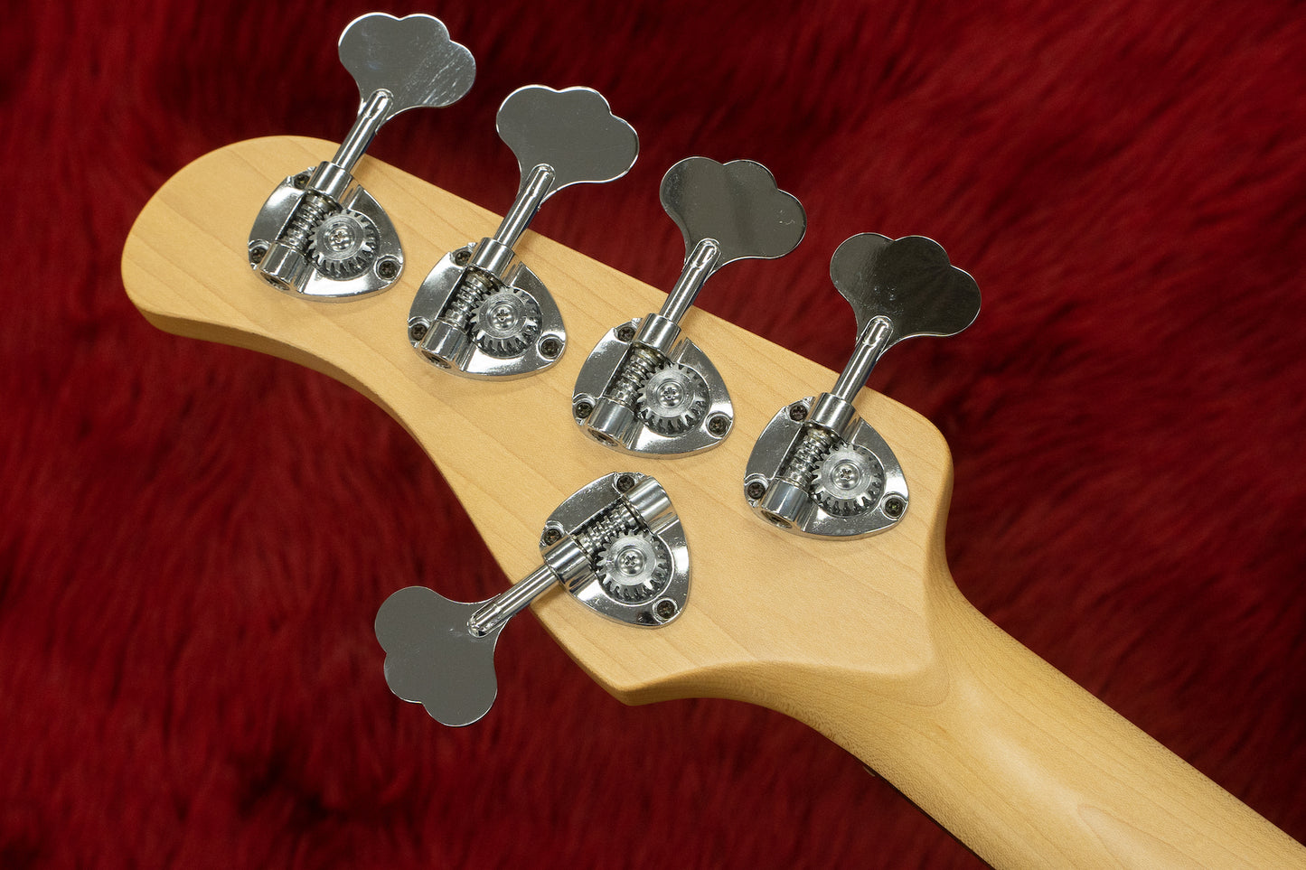 [new] Wood Custom Guitars / Vibe Standard-5 #154 4.43kg [yokohama store]